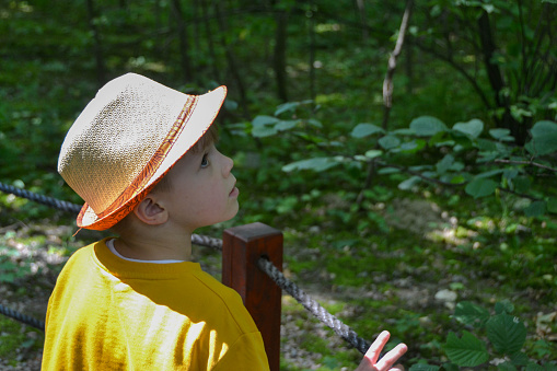 Good leisure for a child. Teaching a child through play. A handsome boy 6 old in a yellow jacket excavates the remains of dinosaurs. High quality photo.