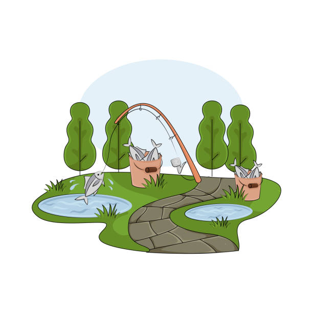 10+ Fishing Pond Sunset Illustrations - iStock