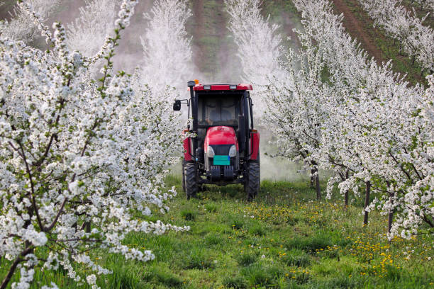 istock Tractor with atomizing sprayer spraying pesticides on cherry trees orchard 1932770083