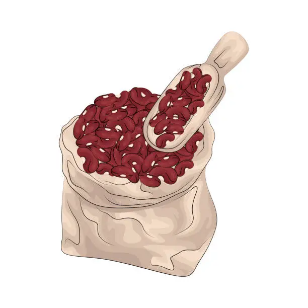 Vector illustration of Red Beans bag