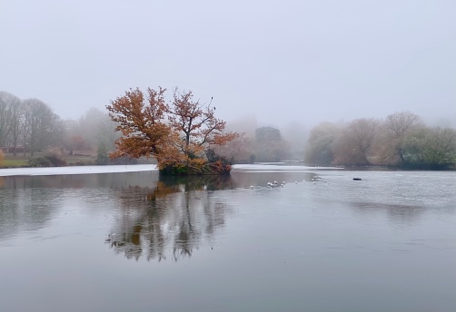 Freezing conditions at the lake in winter, Billericay, Essex, England.