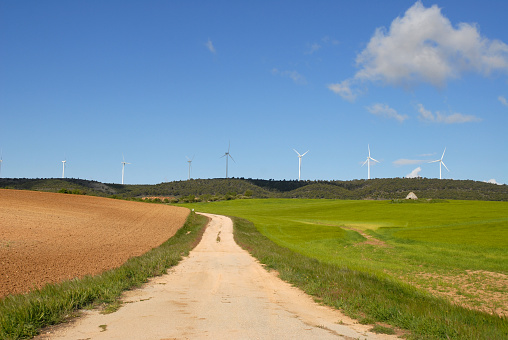 Rural road through farm fields with aerogenerators on the horizon, near Puerto Lapice, Ciudad Real Province, Castilla-La Mancha, Spain