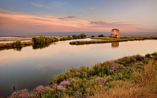 comacchio, ferrara, emilia romagna, italy: sunset landscape of the swamp in the po delta park nature reserve - comacchio bildbanksfoton och bilder