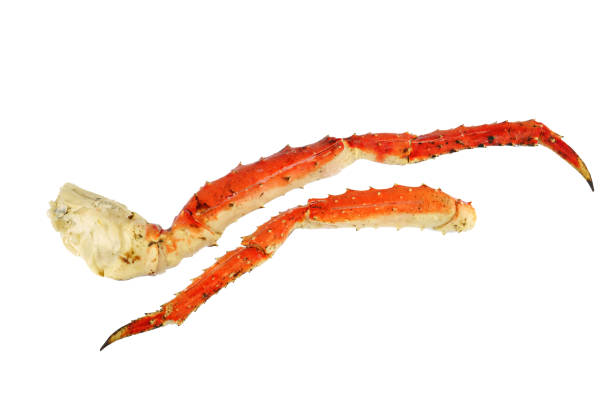 istock close up on snow crab leg isolated on white background 1932819370