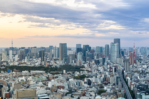 Tokyo, Japan - October 6, 2023: The Tokyo skyline from a high angle view at sunset and twilight.