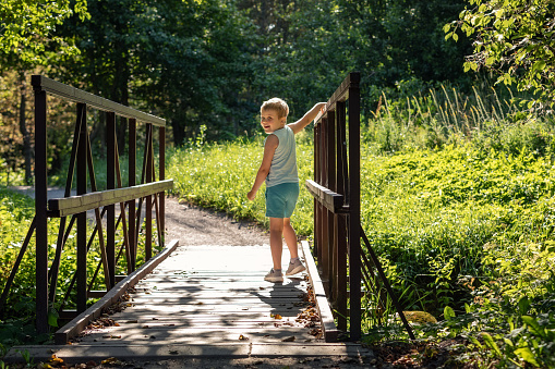 Little boy walking on a wooden bridge over a small stream in sunny summer forest.