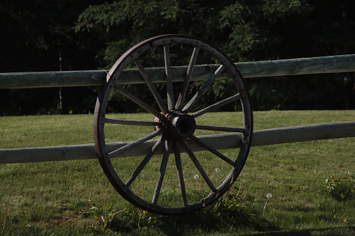Wagon Wheel on a Fence