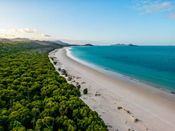 Beautiful high angle aerial drone view of famous Whitehaven Beach, part of the Whitsunday Islands National Park near the Great Barrier Reef, Queensland, Australia. Popular tourist destination. The 74 islands of the Whitsunday Islands lie between the northeast coast of the Australian state of Queensland and the Great Barrier Reef, a huge coral reef with a diverse range of marine wildlife. Most of the islands are uninhabited. The Whitsunday Islands are characterized by dense rainforest, hiking trails and white sandy beaches. The mainland town of Airlie Beach forms the center of the region. queensland stock pictures, royalty-free photos & images