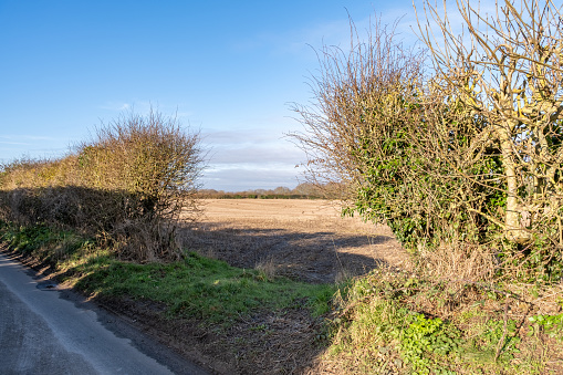 A harvested stubble field behind the hedges in the Norfolk countryside