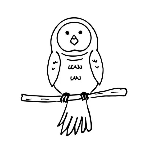 Vector illustration of Owl sitting on a branch, illustration in doodle style