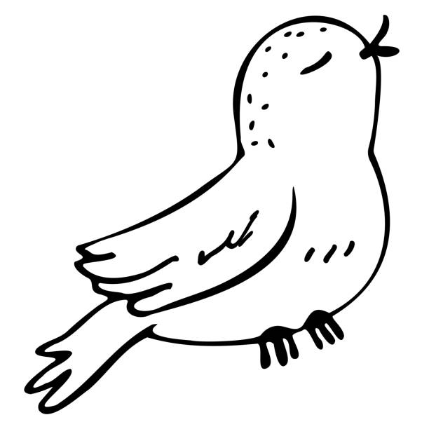 鳥のさえずり、落書きスタイルのベクトル イラスト - bird singing music pattern点のイラスト素材／クリップアート素材／マンガ素材／アイコン素材