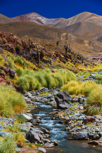 istock A mountain stream flowing down the Andes in Salta Province 1932978002