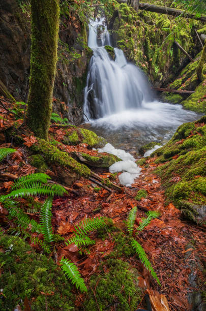 istock Shawnigan Lake Falls 1932986489