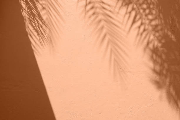 istock Palm leaves shadow on peach color cement plaster wall texture tropical summer background 1932999609