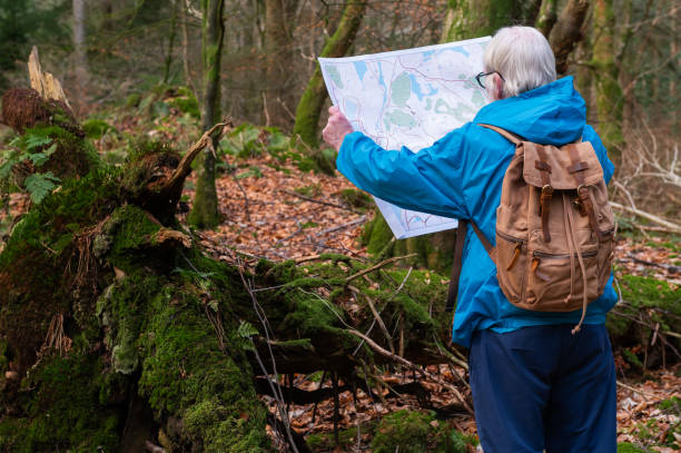 istock Retired man in woodland checking his map 1933008404