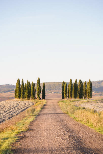 istock Scenic views of Tuscany 1933027933