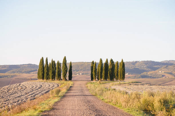 istock Scenic views of Tuscany 1933029981