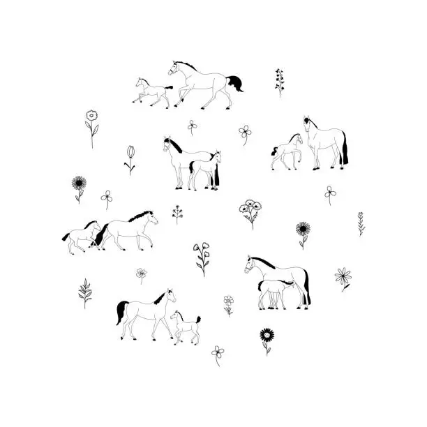 Vector illustration of Horses, herbs and wildflowers. Black and white vector illustration