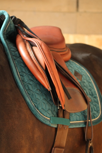 Photo des détails d’une selle de cheval avec un tapis velvet émeraude