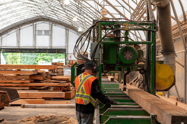 Worker cuts wood lengths in factory