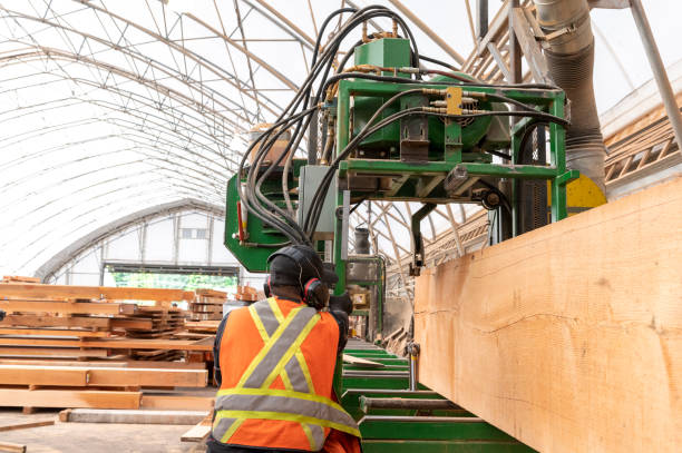 worker cuts wood lengths in factory - construction frame wood accuracy adult photos et images de collection