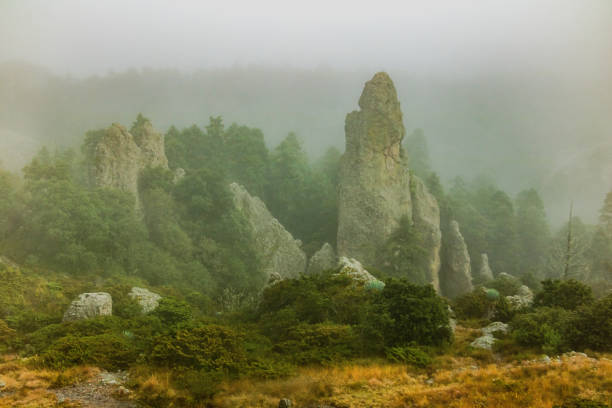 At the highest part of a rock at the Albergue Alpino Las Ventanas, within the El Chico National Park, rock formations rise that are partially obscured by the strong summer fog above them. It is a cold and humid environment.