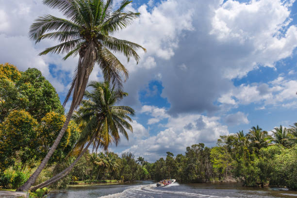 Canal de la Laguna del Tesoro in Cuba stock photo