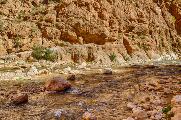 Todra River as it passes through the Todra Gorges in Morocco