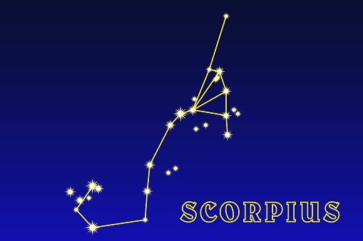 Constellation Scorpius. Illustration of the constellation Scorpio. The southern zodiac constellation located between Sagittarius in the east and Libra in the west entirely in the Milky Way