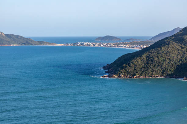 istock Ingleses beach with forest and buildings 1933182019