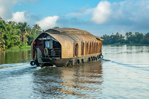 Indian traditional houseboats floating on Pamba river, with palms at the coastline, Alappuzha, Kerala, South India