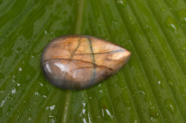 istock Labradorite mineral on green background 1933246424