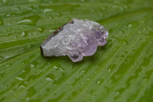 The mineral Amethyst. A precious stone. Purple, bluish-pink, or red-purple varieties of quartz. Geology and Mineralogy