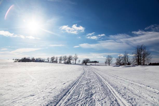 wintry landscape scenery with modified cross country skiing way in sunlight blue colored