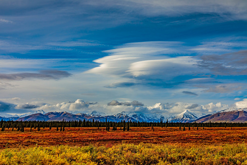 Lenticular Clouds over the Alaska Range