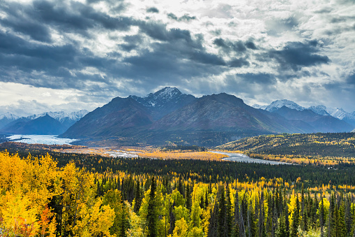 Autumn color surrounds Matanuska Glacier and River