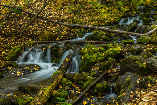Falls Creek flows into Turnagain Arm in the Chugach Mountains..