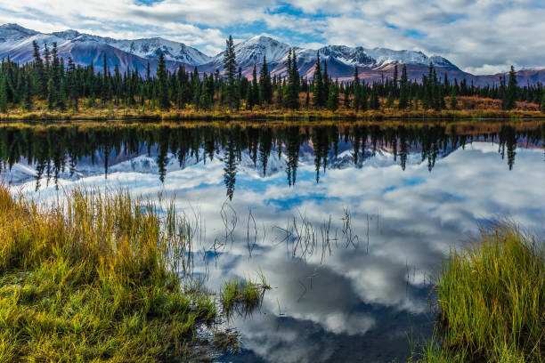 Snow Capped Mountain Reflection Talkeetna Mountains with fresh snow reflecting in lake along the Denali Highway talkeetna mountains stock pictures, royalty-free photos & images