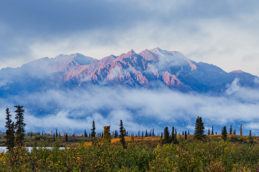 Fog in Tahneta Pass with Knob Lake, Chugach Mountains, Alaska