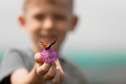 Happy little boy holding flower with butterfly on it.