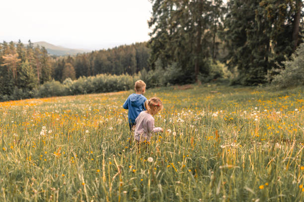 istock Two little children having fun in the meadow. 1933332796