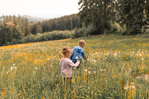 Two young cheerful female friends enjoying time together in nature, sitting in flower meadow and laughing