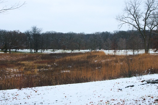 View across snow covered meadow, with forest in the background, on an overcast day. Taken in public parks in the Chicago metro area.