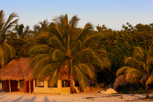 Hut on a Tropical beach
