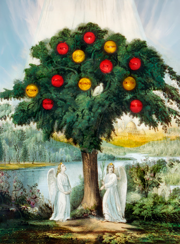Vintage illustration features the symbolic tree of life bearing twelve fruits, representing  hope, faith, charity, love, joy, peace, wisdom, virtue, meekness, truth, temperance, and holiness. A dove is perched on a branch while two angels stand at the base of the tree.  The image represents a biblical verse from the Book of Revelation (22:2): 