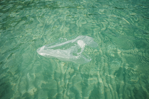 Plastic bag floating in the ocean water.