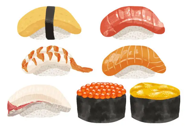 Vector illustration of delicious sushi