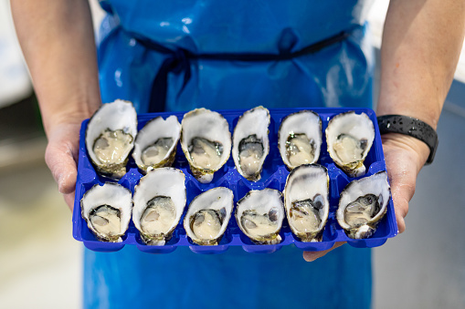 A fishmonger's hands are seen holding a tray of a dozen freshly shucked oysters.