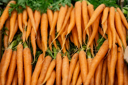 Bunches of Dutch carrots are seen on display in an organic grocery store.