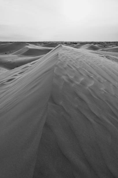istock Close up background on the desert sand in Inner Mongolia, China. 1933661303